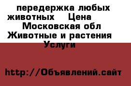передержка любых животных  › Цена ­ 350 - Московская обл. Животные и растения » Услуги   